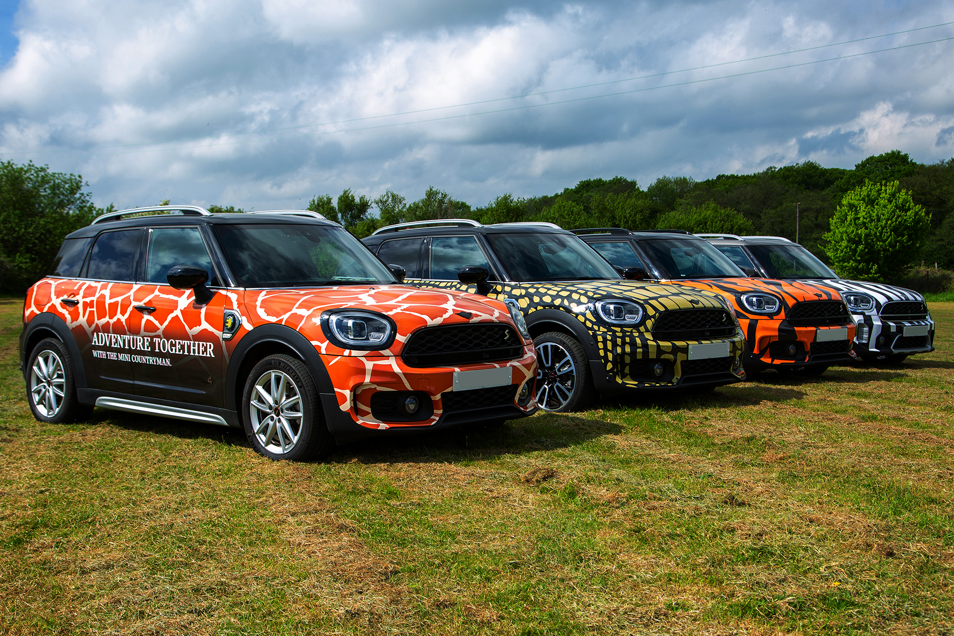 Longleat-Safari-Park-fleet-wrap2-1
